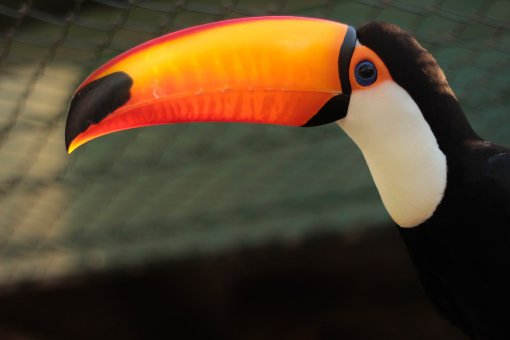 Parque Zoobotânico